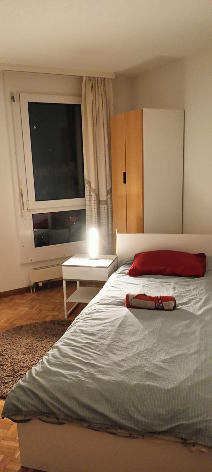 Jolie Confortable Dans Un Séjour chez l'habitant Genève