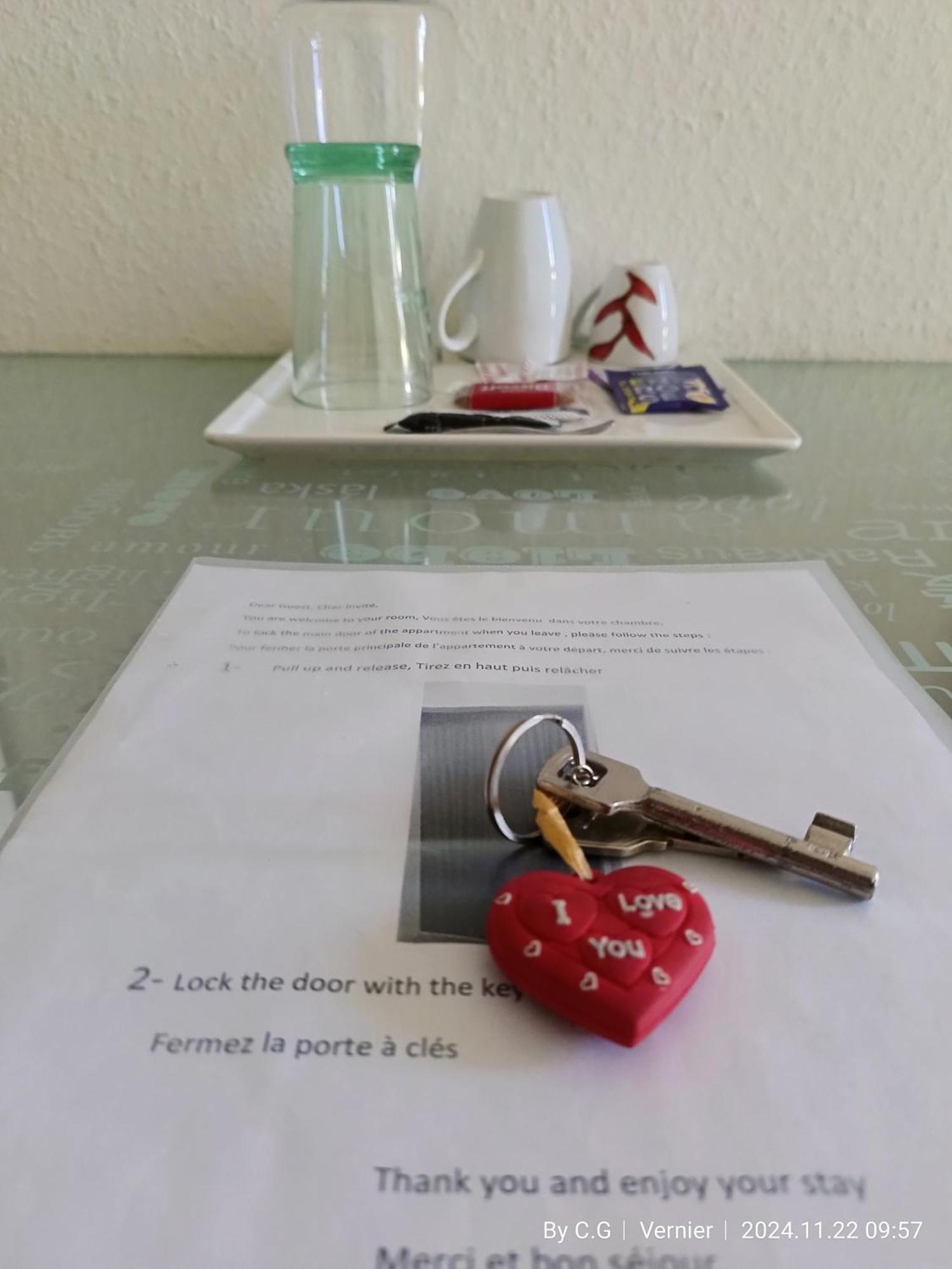 Jolie Confortable Proche De L'aéroport * Ginebra