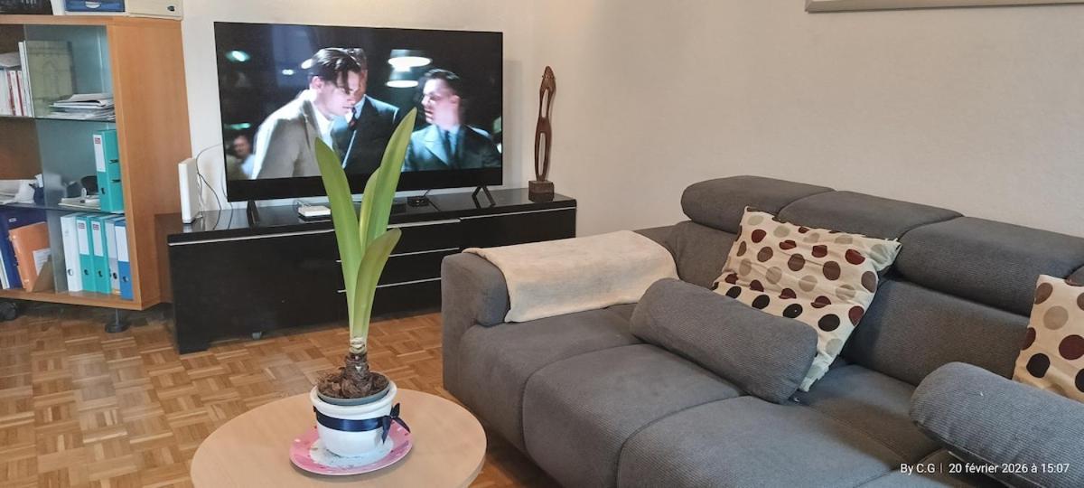 Séjour chez l'habitant Jolie Confortable Proche De L'aéroport Genève