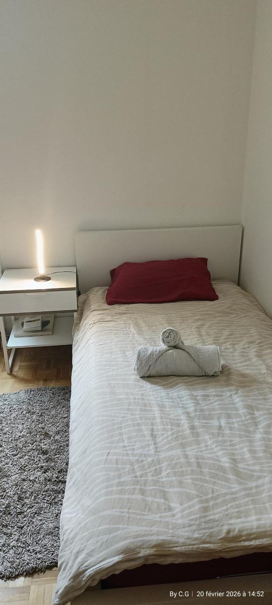 Jolie Confortable Proche De L'aéroport Séjour chez l'habitant Genève